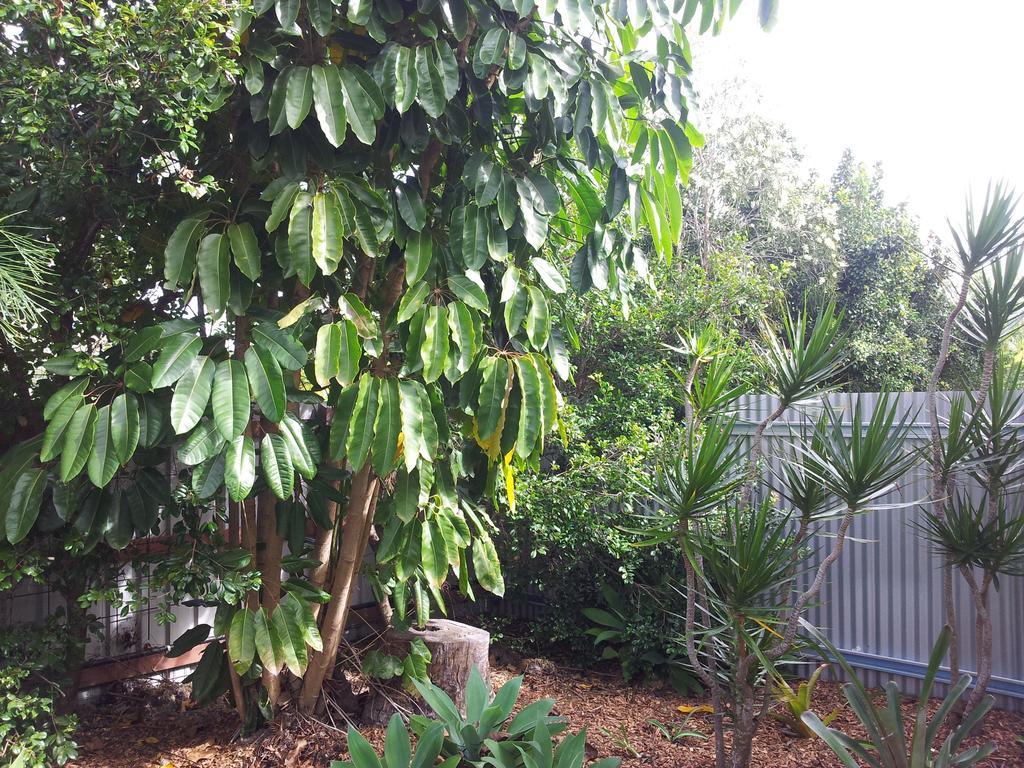 Bluegrass BnB Bundaberg Exterior foto